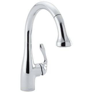   Kitchen Faucet   06460 in Chrome/Black 06460060: Home Improvement