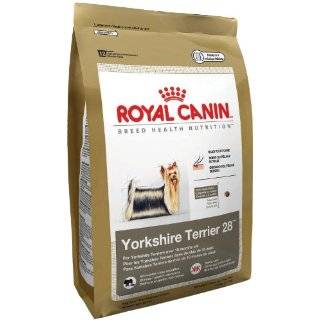  Royal Canin Yorkie Dry Dog Food 10 lb: Pet Supplies