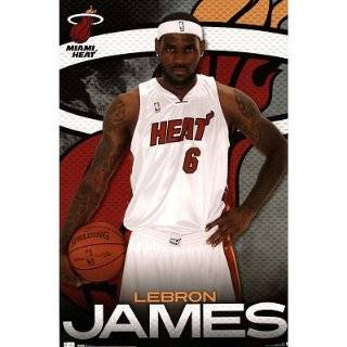  Miami Heat LeBron James Door Sports Poster Print   21x62 