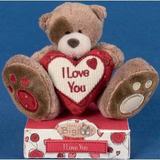  I Love You Sarah Custom Teddy Bear Toys & Games