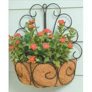  Deer Park WB112 Finial Top Wall Basket with Cocoa Moss 
