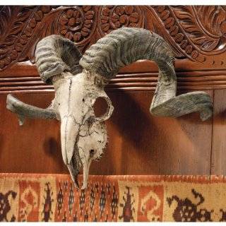   Corsican Ram Skull and Horns Wall Trophy