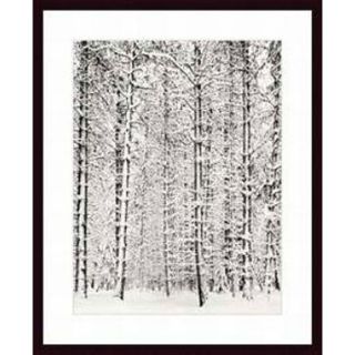 Ansel Adams Pine Forest in the Snow, Yosemite National Park Art