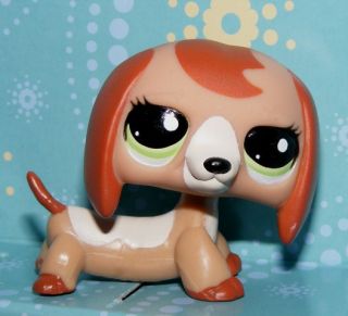 Littlest Pet Shop Dachshund Puppy 2035 RARE Spicy Light Weiner Dog New D3