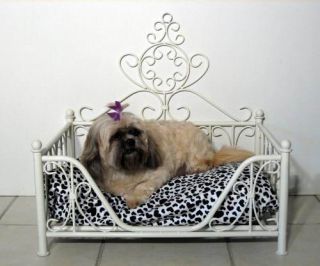 Dog Bed Cat Pet Wrought Iron Black Crown
