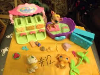  Littlest Pet Shop Pet Adoption Center Playset : Toys & Games