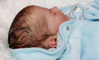 Beautiful Reborn Newborn Baby Boy Doll "Bennet" Sculpted Bykarola Wegerich