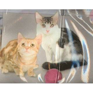 Kitty Cats Shower Curtain (Kitty Cat)