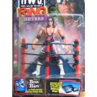  WCW/NWO Power Punch Kevin Nash Toys & Games