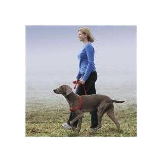 Easy Walk Harness (M/L)(Red):  Kitchen & Dining
